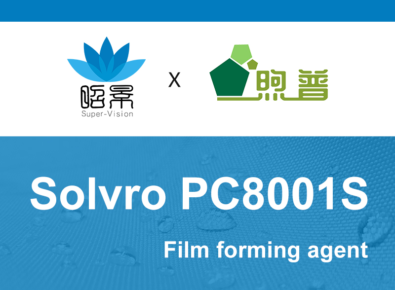 PC8001S