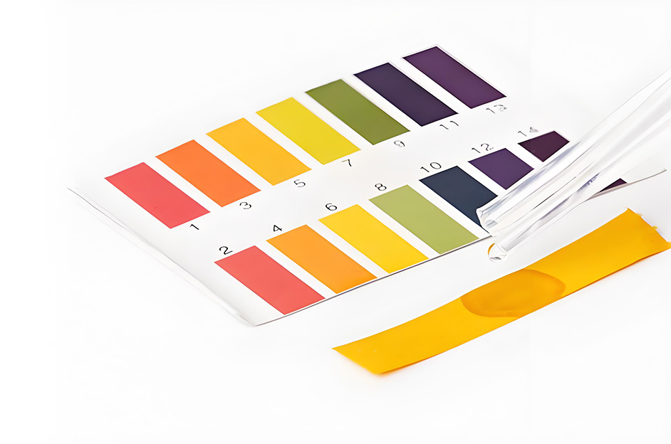 Rhenamin VP195T: High-Performance Additive Solution for Water-Based Coatings